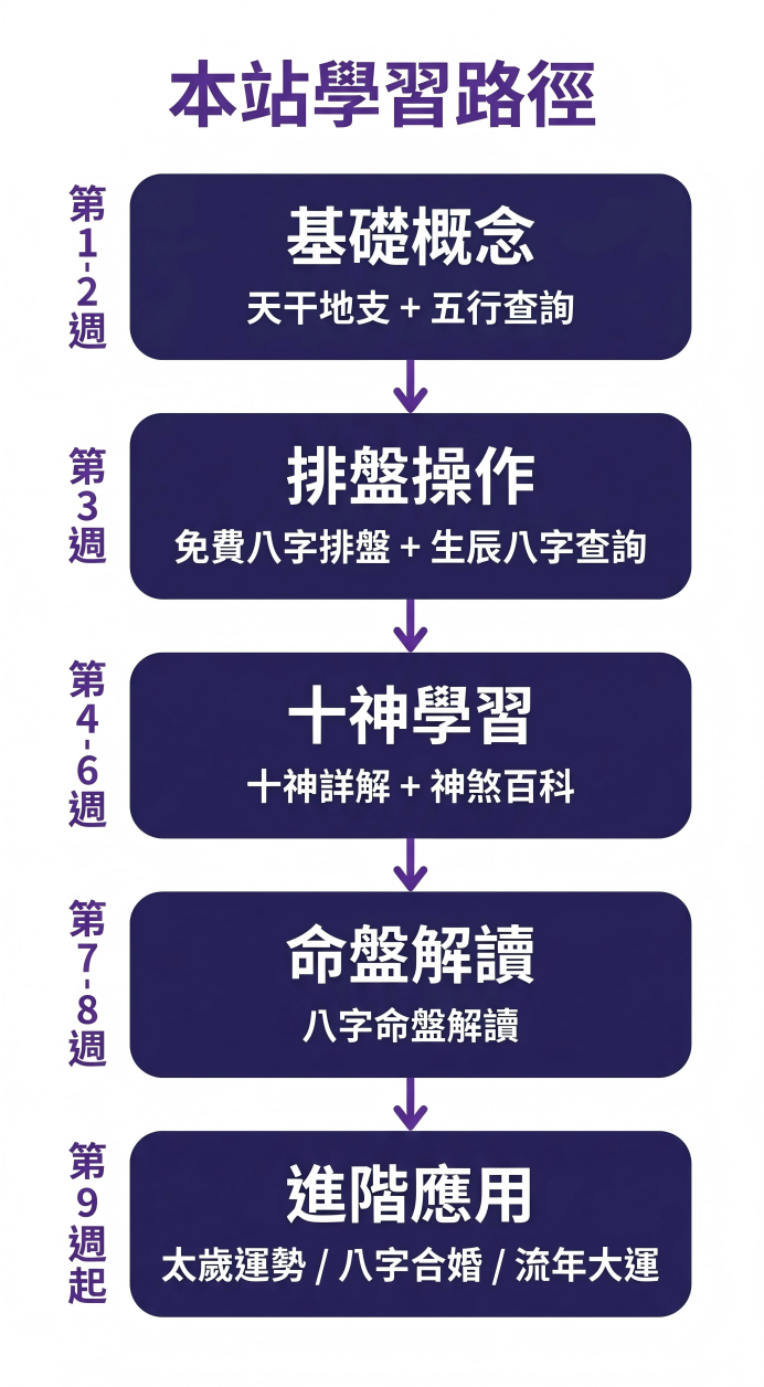 本站專屬的八字命理學習路徑圖表，採垂直流程設計，為使用者規劃清晰的九週自學時程：第1至2週「基礎概念」涵蓋天干地支與五行查詢；第3週「排盤操作」運用免費八字排盤與生辰八字查詢；第4至6週「十神學習」鑽研十神詳解與神煞百科；第7至8週進入核心「命盤解讀」；第9週起邁入「進階應用」，包含太歲運勢、八字合婚與流年大運分析。這套系統化的指南能幫助新手按部就班掌握四柱命理技巧。