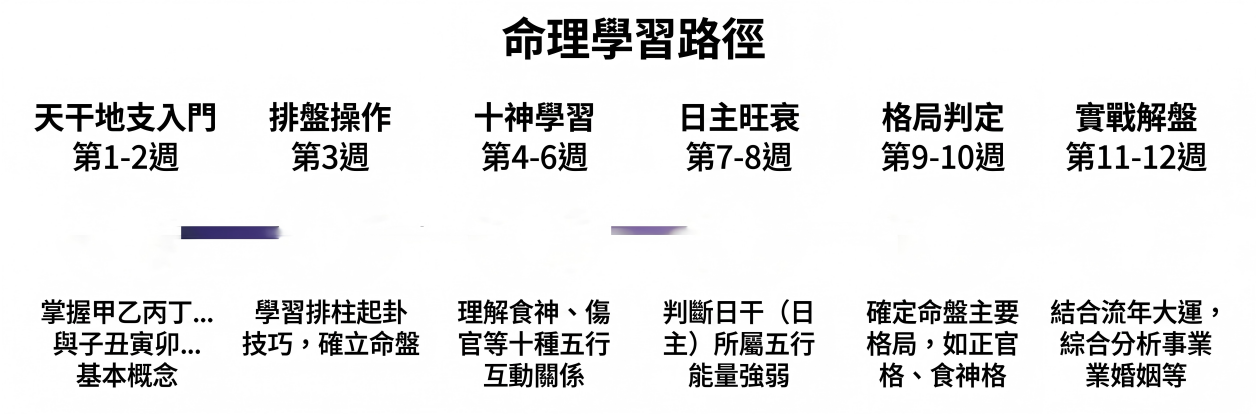 八字命理12週自學路徑時間軸圖表。圖表將學習過程分為六大階段：第1至2週「天干地支入門」掌握甲乙子丑等基礎概念；第3週「排盤操作」確立命盤；第4至6週「十神學習」理解食神傷官等五行互動關係；第7至8週判斷「日主旺衰」的五行能量強弱；第9至10週進行「格局判定」（如正官格、食神格）；最後第11至12週進入「實戰解盤」，結合流年大運綜合分析事業與婚姻。這張藍圖為初學者規劃了清晰且系統化的八字命盤解讀學習步驟。