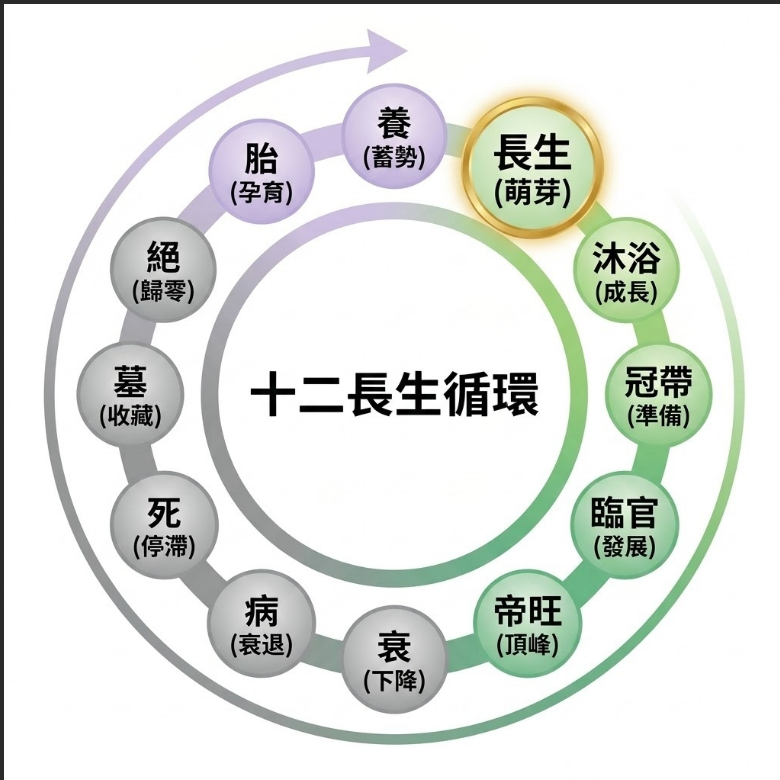 四大神煞特質對比雷達圖。圖表透過五個維度（社交力、事業力、學業力、獨處傾向、領導力）直觀分析四大神煞的性格傾向：紫色圖塊的「天乙貴人」在社交力表現最為突出滿分；紅色圖塊的「魁罡」在領導力、事業力與獨處傾向皆佔極大優勢，展現強勢氣場；藍色圖塊的「文昌貴人」以學業力指標最高；綠色圖塊的「華蓋」則以獨處傾向數值最高，帶有偏好沉思的特質。此視覺化圖表能幫助初學者秒懂不同神煞的優勢與個性。