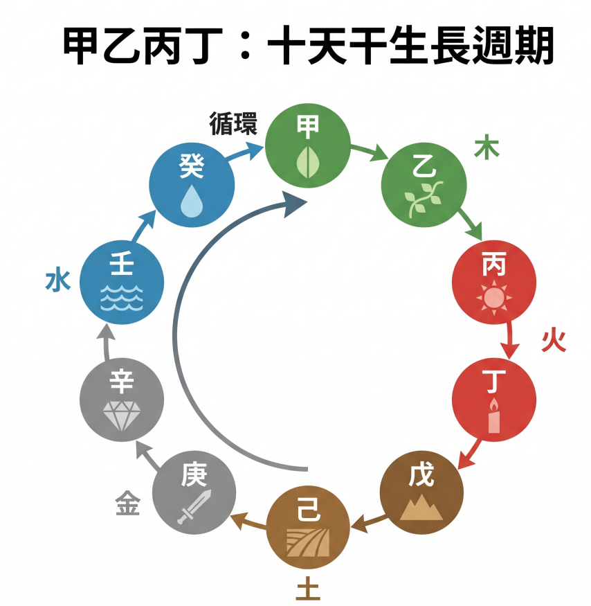 「甲乙丙丁:十天干生長週期」圖解。這張視覺化圖表以順時針循環展現了十天干的排序、五行屬性與具象化圖標:綠色的「木」區塊包含甲(種子萌芽)與乙(枝葉伸展);紅色的「火」區塊包含丙(太陽)與丁(燭光);褐色的「土」區塊包含戊(高山)與己(田園);灰色的「金」區塊包含庚(刀劍)與辛(鑽石珠寶);藍色的「水」區塊包含壬(波浪大海)與癸(水滴雨露),最後水區塊的箭頭再次指向甲木形成「循環」。這張圖表能幫助命理初學者跳脫死背口訣,直觀掌握從甲乙丙丁到壬癸的能量生發與流轉過程。