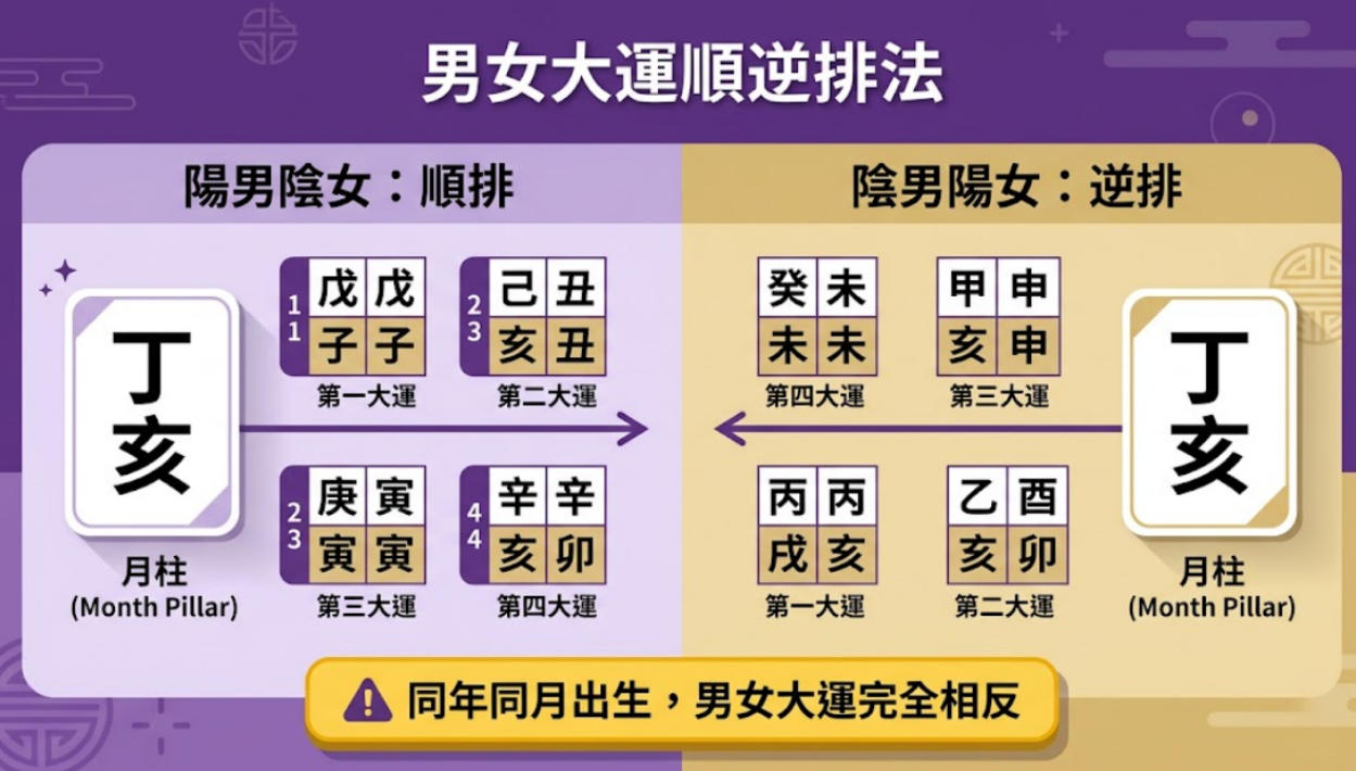 「男女大運順逆排法」視覺化對照圖。這張圖表以月柱「丁亥」為基準,清楚展示了八字排盤中,不同性別與年柱陰陽屬性在推算起運方向時的差異。左側紫色區塊標示「陽男陰女:順排」,代表大運干支會依照六十甲子的順序向後推演(由第一大運順行至第四大運);右側黃色區塊則標示「陰男陽女:逆排」,代表干支會依序向前反推。圖表最下方特別加上帶有警告圖示的黃色醒目標語,總結了一項重要的命理鐵則:「同年同月出生,男女大運完全相反」。這張圖解能幫助學習者快速掌握大運排盤的核心底層邏輯。
