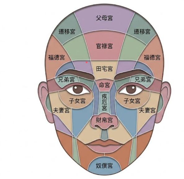 这张示意图展示了传统面相綜合分析中的人脸十二宫位划分,通过彩色区域标注了面部不同部位对应的宫位,包括额头的父母宫、官禄宫,眉眼的兄弟宫、田宅宫、子女宫,以及鼻部的财帛宫和下颌的奴仆宫等,清晰呈现了如何通过面部区域进行综合性的命理特征解读。