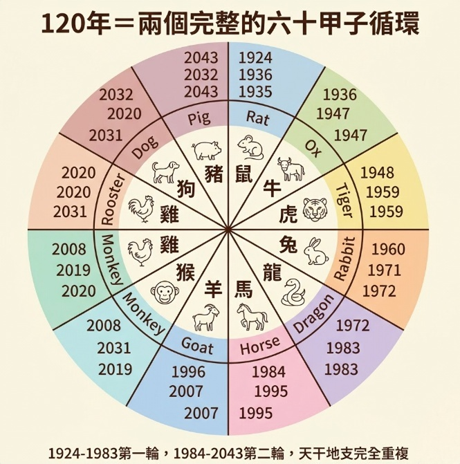 一張展示120年(包含兩個完整六十甲子)的圓盤圖,提供直觀的各年份生肖對照。使用者可透過此圖表查找如1996年生肖、1984年生肖等對應資訊,並清楚了解天干地支每60年完全重複的命理循環規律。