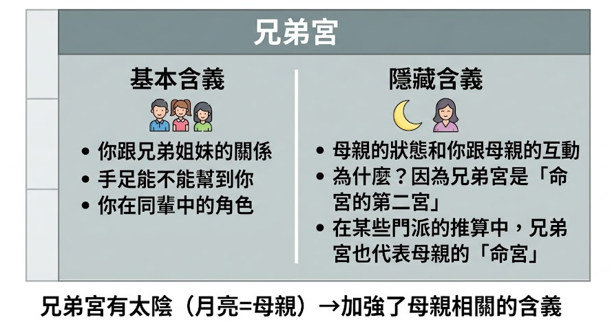 其他宮位詳解是一套建立在紫微斗數星盤外的雙軌核心特徵評估系統。本圖表嚴謹展示命主與身主之雙向能量路徑,將出生年地支轉化為先天資源與後天修煉之數據指標。以生命數據科學視角徹底破除迷信渲染,為您建立精確的評估標準,提供最具邏輯依據的決策輔助模型。