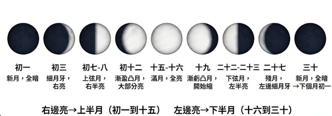 張展示農曆一整個月相變化的教學圖，列出了初一至三十等九個不同日期的月亮形狀。圖片詳細說明了每個階段的名稱（新月、上弦月、滿月、下弦月等）和描述（如全暗、右半亮、全亮等）。最下方文字說明「右邊亮->上半月（初一到十五），左邊亮->下半月（十六到三十）」，幫助讀者看月亮就知道今天農曆幾號。