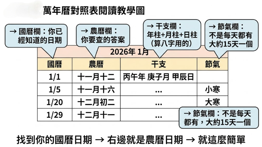 「萬年曆對照表閱讀教學圖」的視覺化教學圖解。這張圖表清楚示範了如何輕鬆看懂複雜的曆法轉換工具。畫面以 2026 年 1 月為例，將表格分為四大核心欄位並附上白話說明：左側第一欄「國曆欄」代表你已經知道的西元日期；第二欄「農曆欄」就是你要找的傳統日期答案；第三欄「干支欄」詳列年柱、月柱與日柱，標註為「算八字用的」；第四欄「節氣欄」則舉例了小寒、大寒，並特別提醒「不是每天都有，大約15天一個」。圖表底部總結了超簡單的查閱心法：「找到你的國曆日期 → 右邊就是農曆日期 → 就這麼簡單」，幫助新手零門檻學會日曆轉換。
