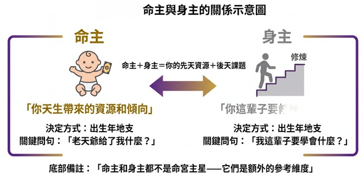 紫微斗數命主與身主關係示意圖，清楚對比「先天資源」與「後天修煉課題」的差異。釐清此基礎概念，有助於進一步解析如「命主祿存身主天同」、單看「命主祿存」或「命主武曲」等進階命盤格局組合。