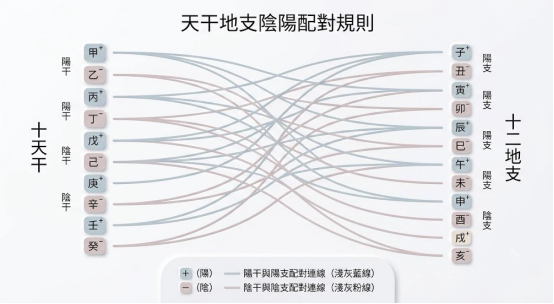 這是一幅極簡風格的「天干地支表」規律解讀圖。左側垂直排列甲至癸的十天干,右側垂直排列子至亥的十二地支,中央以交叉錯落的雙色網格線條,清晰對齊展示「陽干與陽支配對(淺灰藍線)」以及「陰干與陰支配對(淺灰粉線)」的同性相配底層原理。
