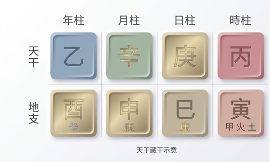 這是一幅簡潔的八字「天干藏干示意」四柱矩陣圖表,採用莫蘭迪與柔和金色調,垂直劃分「天干」與「地支」兩大維度,並橫向對齊「年柱、月柱、日柱、時柱」四個時空座標;每個插槽內嵌乙、辛、庚、丙等干支卡片,並在酉、申、巳等金黃色地支下方高亮標註所隱藏的辛、庚等微觀「藏干」元素,清晰引導讀者精確稽核自身命盤是否真正屬於「八字缺金」,建立標準化的命理診斷邊界。