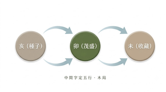 這是一幅極簡風格的「亥卯未三合」邏輯示意圖。由左至右以圓形節點和箭頭展示:亥(種子)轉化為中央高亮的綠色卯(茂盛),再延伸至未(收藏),底部標註「中間字定五行.木局」,清晰說明三合局以中神定五行屬性的核心原理。