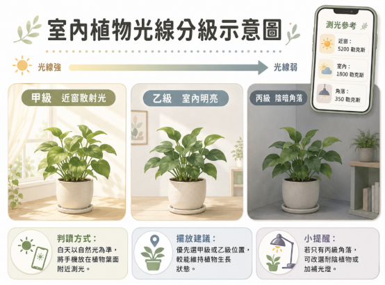 這是一張輔助評估「財位植物」生存環境的室內光線分級圖卡。畫面由強至弱將空間分為甲級近窗散射光、乙級室內明亮與丙級陰暗角落三種情境,並搭配手機 App 測光的勒克斯(Lux)參考數值;下方列出詳細的測量方式與擺放建議,特別提醒若財位處於丙級角落,務必改選耐陰品種或加裝植物燈,確保招財綠植能維持健康生機。