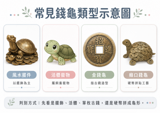 這是一幅極簡風格的常見「招財龜」類型分類圖卡。畫面由左至右列出四種常見樣貌:銅製風水擺件、真實活體寵物龜、單枚方孔古錢造型的金錢龜,以及利用硬幣拼貼工藝製成的廟口錢龜;圖卡下方並附上簡單直觀的視覺判別方式,引導讀者快速辨識不同形式的錢龜意涵與用途。