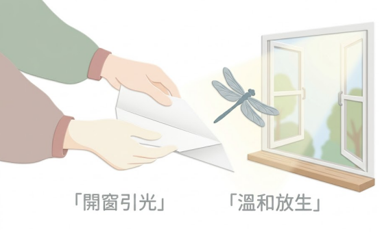 這是一幅極簡風格的「蜻蜓入屋風水」理性應對示範圖。畫面展示雙手拿著紙張，配合打開的窗戶與戶外光線，標註「開窗引光」與「溫和放生」八個字，直觀示範如何在不傷害昆蟲的前提下，將誤入室內的蜻蜓平靜引導回大自然。
