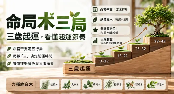 這是一張解析紫微斗數「命局木三局」時間刻度的教學圖卡。畫面以拾階而上的植栽生長意象，直觀呈現出木三局從虛歲3歲開始起運的大限節奏（如3-12、13-22歲等）；下方則完整列出松柏木、大林木等六種納音木分類，幫助大眾透過命理視覺化，輕鬆看懂專屬於木局的性格底色與人生推進軌跡。
