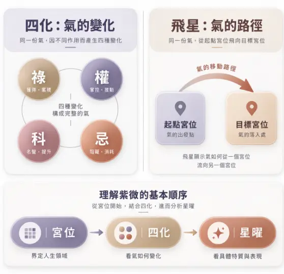 這是一幅深入剖析「四化飛星」運作本質的觀念圖卡。畫面巧妙地將命理名詞具象化，左側說明四化代表「氣的變化」（祿權科忌），右側則將飛星詮釋為氣從起點宮位飛向目標宮位的「移動路徑」；圖卡下方更歸納出先看宮位界定領域、次看四化變化、最後看星曜特質的紫微斗數標準解讀順序，讓抽象的氣場流動變得一目了然。
