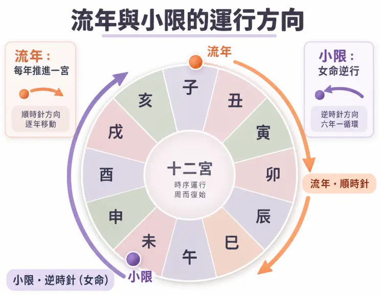 圖中以十二宮位圓盤為基礎，直觀呈現了兩者的推進路線：流年固定以順時針方向逐年移動，而小限（以女命為例）則是逆時針運轉。透過雙向箭頭的軌跡對比，輕鬆掌握這兩股運勢能量在盤面上一順一逆的移動規律。