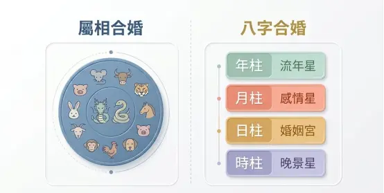 到底怎麼看八字合不合才精準？別再只依賴單一的生肖配對！這裡直接對比了傳統屬相與完整八字的深度差異。相較於只看十二生肖，八字排盤能從年月日時四柱，細緻推演流年、感情星、婚姻宮到晚景發展，提供更具參考價值的立體解析。