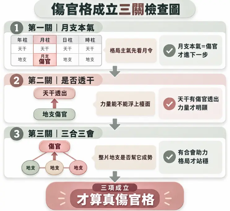 輔助確認包含女命傷官格在內是否真正成立的階段性檢視流程圖。圖表由上至下拆解出三大判斷門檻,包含月支本氣必須為傷官、天干需有傷官透出以彰顯力量,以及確認地支是否有三合三會成勢助攻,明確指出三關皆通過才算是真正的傷官格。