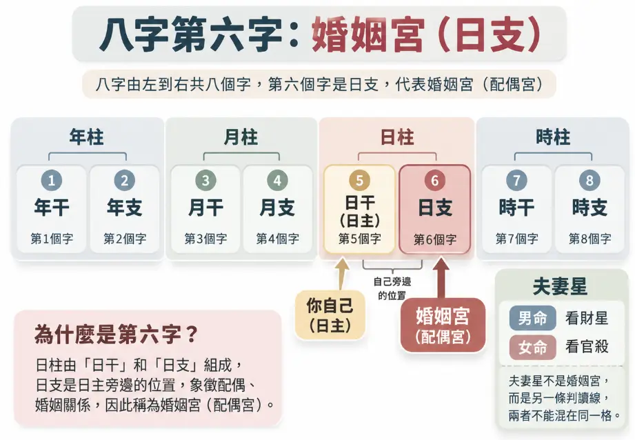 詳解八字婚姻宮確切位置的排盤示意圖。畫面將四柱由左至右編號，標明第六個字「日支」即為婚姻宮，緊鄰代表自己的日主，象徵配偶關係。同時釐清婚姻宮與男女夫妻星為兩條不同的判讀線，幫助初學者精準定位不混淆。