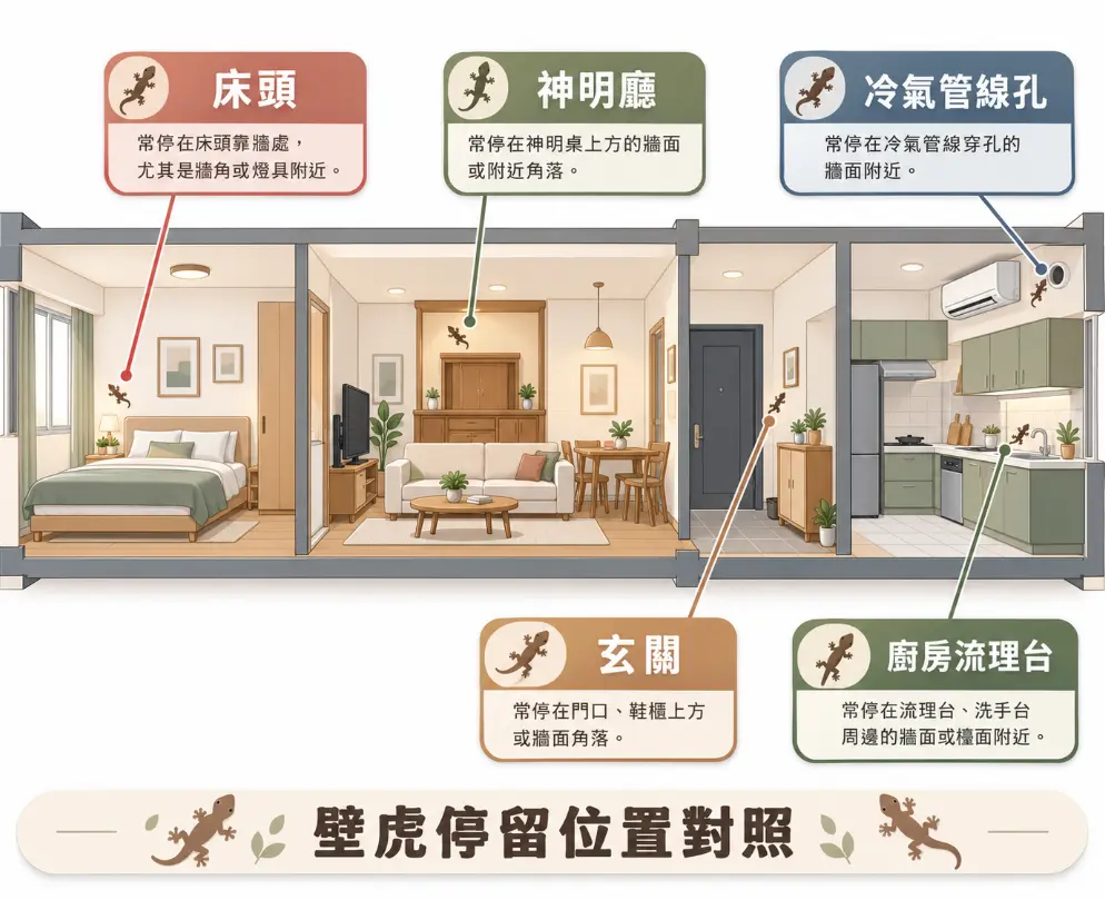 圖解壁虎風水與日常出沒點的室內對照圖。以房屋剖面展示壁虎常停留的五大位置：床頭靠牆處、神明廳上方、冷氣管線孔、玄關鞋櫃旁，以及廚房流理台周邊。透過視覺化對照，幫助讀者了解其出沒多與牆角、燈具或水源有關，方便針對性進行環境補漏。